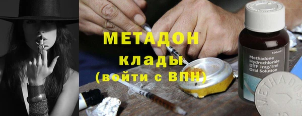 дживик Ельня