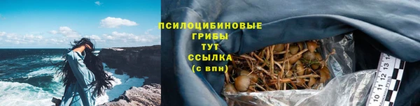 apvp Абаза