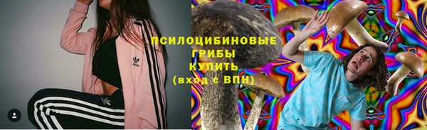 apvp Абаза