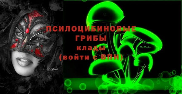 apvp Абаза