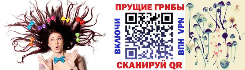 OMG как войти  Майский  Псилоцибиновые грибы Magic Shrooms 