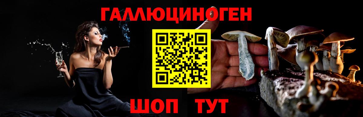 Псилоцибиновые грибы прущие грибы Майский